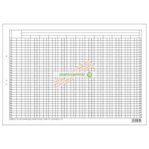 B.13-42 Könyvelési statisztikai gyüjtőív szabadlap 420x295 mm