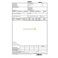 B.7300-550/N/UJ/PM Deviza számla (RECHNUNG) 5 lapos garn. 