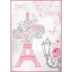 Rózsával az Eiffel-toronynál