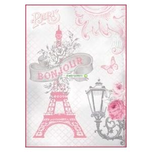 Rózsával az Eiffel-toronynál
