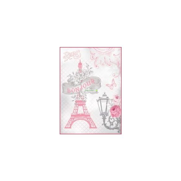 Rózsával az Eiffel-toronynál