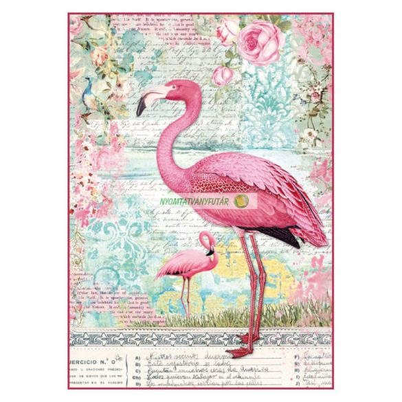 Rózsaszín flamingó