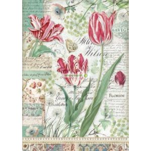 Piros tulipán