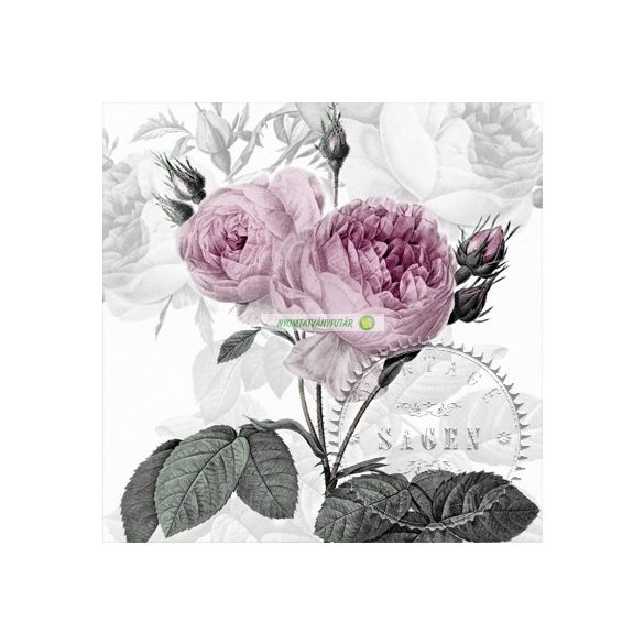 Nyíló rózsa (80077)