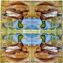 Vadkacsa pár (Pair of Ducks)