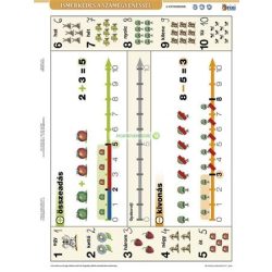   Tanulói munkalap, A4, STIEFEL "Ismerkedés a számegyenessel"